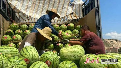 靖远硒砂瓜今日价格表最新,今日行情一览