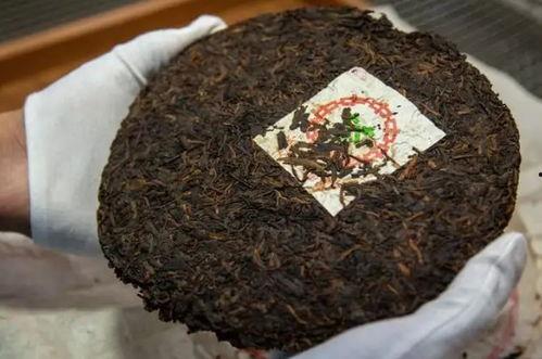 普洱热门话题有哪些,探寻热门话题背后的普洱魅力