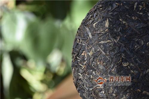 普洱热门话题有哪些,探寻热门话题背后的普洱魅力