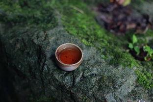 普洱热门话题有哪些,探寻热门话题背后的普洱魅力