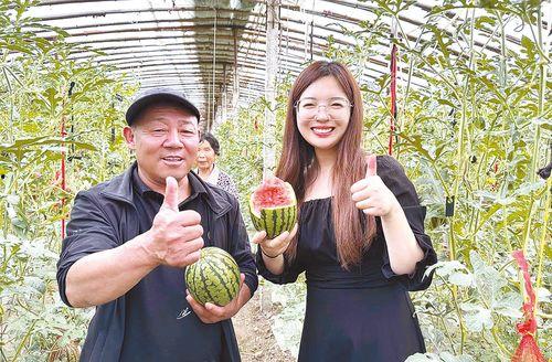 今日2k吊瓜价格表,市场行情一览