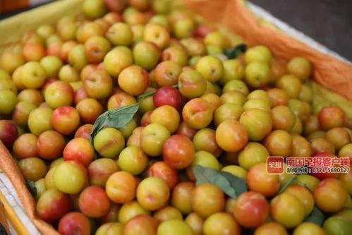 南宁最新吃瓜热门事件,最新“吃瓜”事件揭秘，真相令人咋舌！