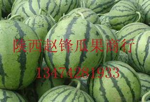 今日哈密瓜批发行情如何,价格涨势明显