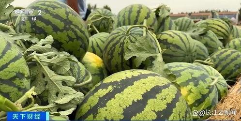 热门吃瓜都在哪里看,一网打尽全网热门话题