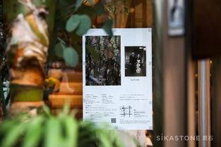 花店今日热门话题文案,揭秘热门话题背后的花艺潮流与情感故事