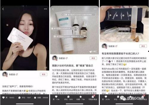 小红书明星网红有哪些,人气爆棚的时尚风向标