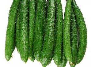 巴州九鼎今日瓜价格,巴州九鼎瓜市今日价格行情一览