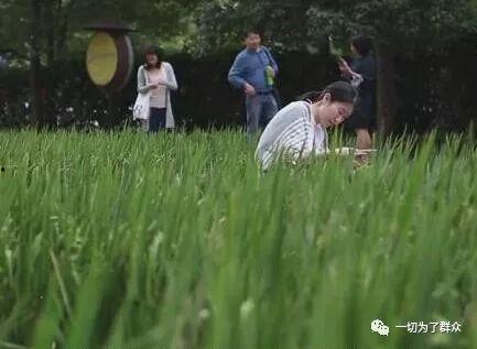 热门话题草坪文案,探索热门话题草坪的魅力与价值