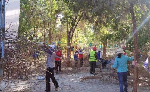 51热门大瓜长清门,长清门事件背后的真相与影响