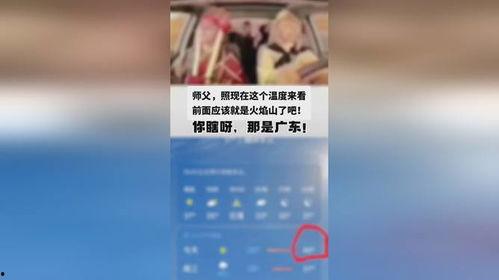同城热门话题东莞天气,夏日炎炎，清凉一夏，热门话题聚焦”