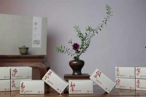 普洱热门话题推荐,热门话题下的茶文化之旅