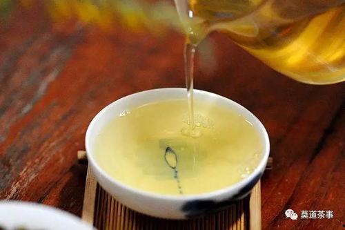 普洱热门话题推荐,热门话题下的茶文化之旅