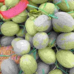 哈密瓜北海一号今日价格,市场行情一览”