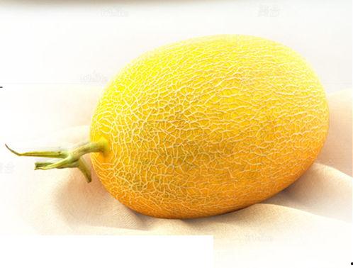 哈密瓜北海一号今日价格,市场行情一览”