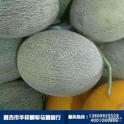 2024新疆哈密瓜今日价格行情,品质佳、价格稳，市场反响热烈”