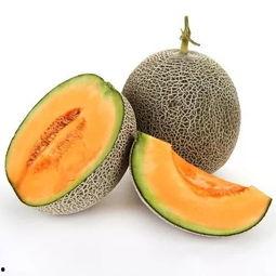 今日哈密瓜节在哪儿办,欢庆活动精彩纷呈”