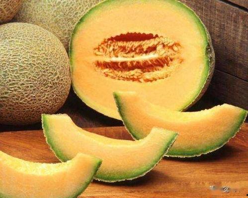 今日哈密瓜收购价格,市场波动下的甜蜜商机”