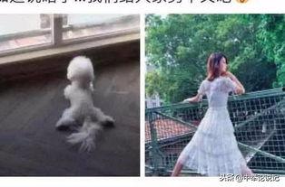 今日吃瓜视频唐艺昕微博,网友热议其最新动态